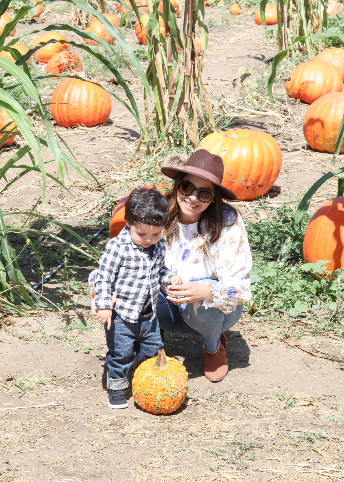 fall family activities in san diego, fall traditions in san diego