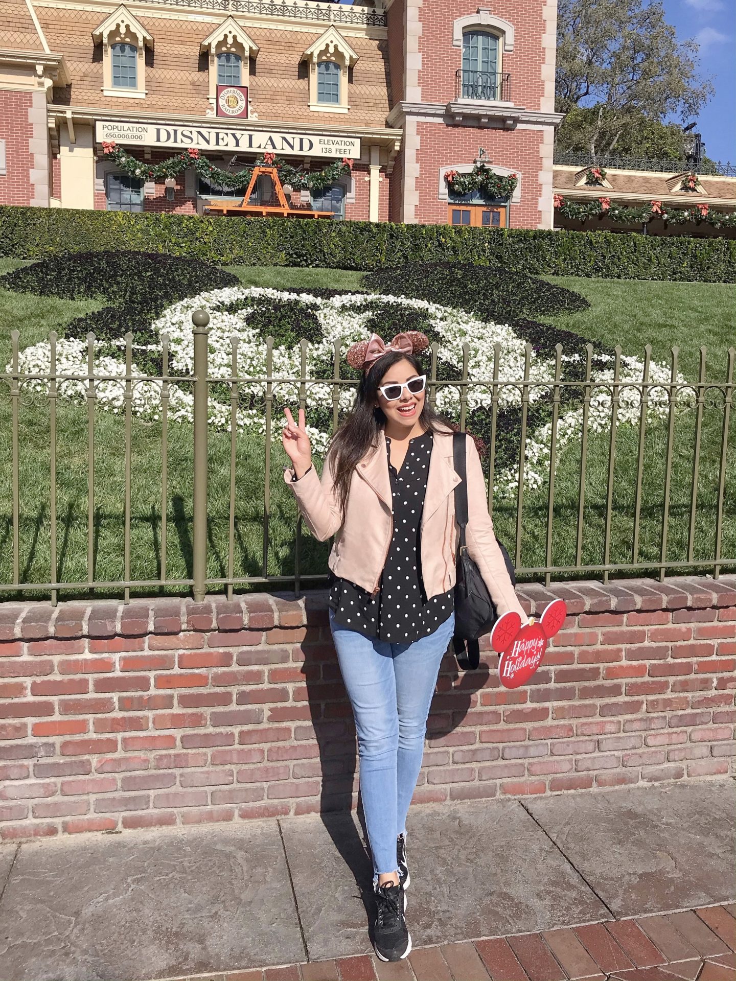 https://lilbitsofchic.com/wp-content/uploads/2019/12/What-to-wear-to-Disneyland-in-December-1440x1920.jpg