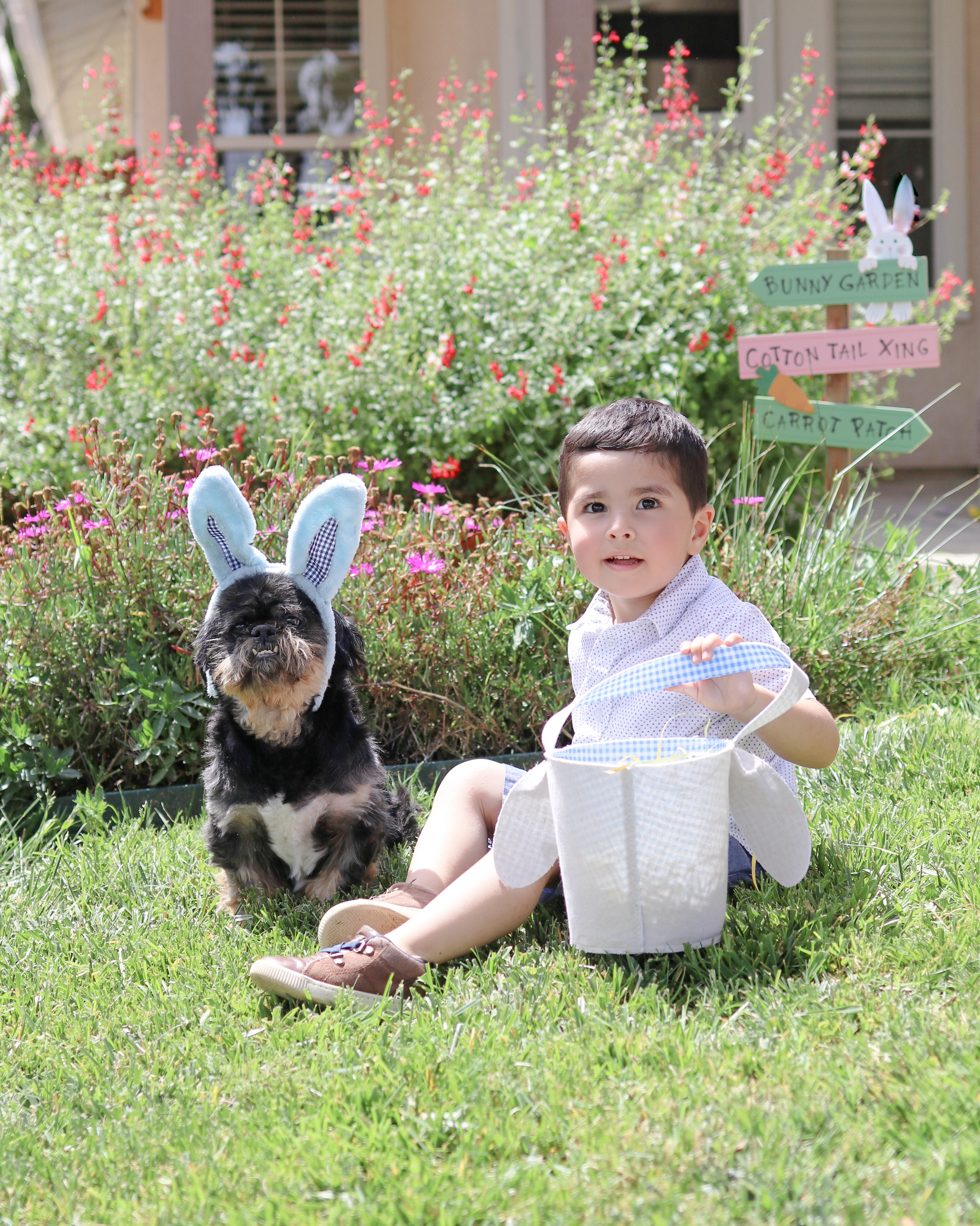 Easter pictures with doggie, family Easter pics
