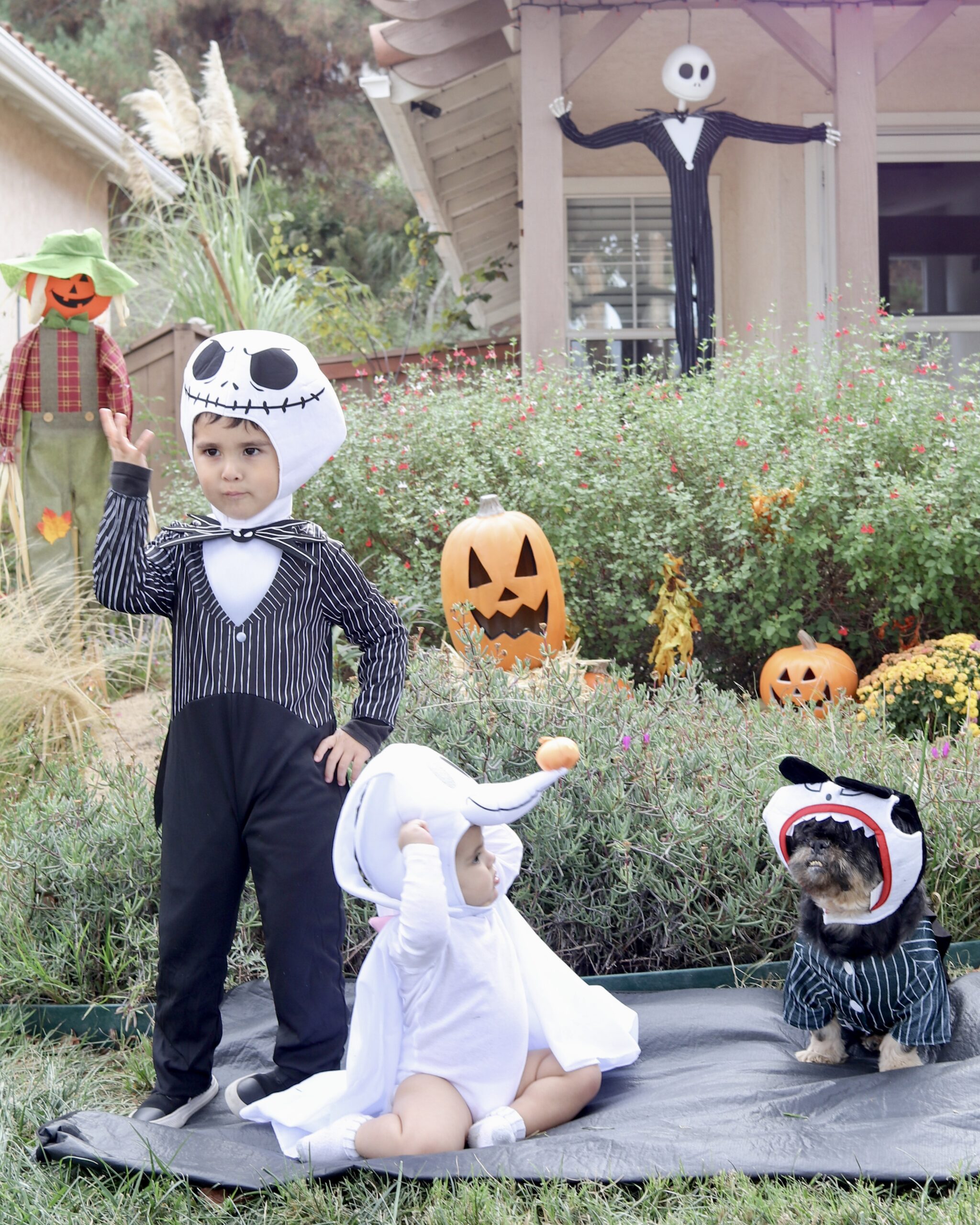 Four Halloween Family Costume Ideas - Lil bits of Chic