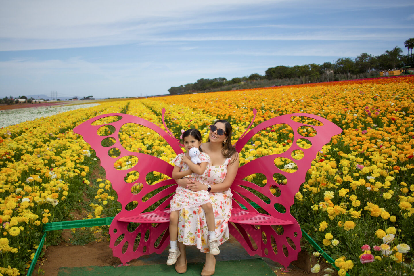 Carlsbad Flower Fields with kids, Carlsbad Flower Fields photo opportunities